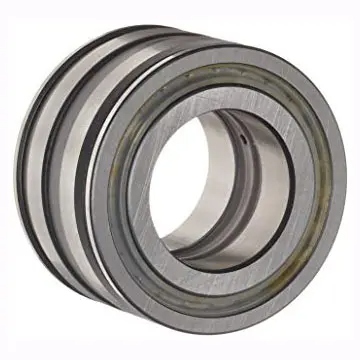 Подшипник SL04 5016 (72/F0924) INA