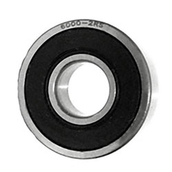 180100 (6000-2RS) 